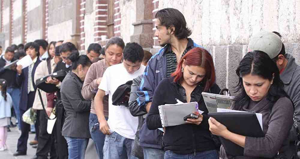 Convocatoria para técnicos y profesionales Guaviare