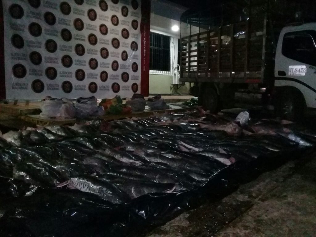 Pescado incautado por las autoridades en Guaviare