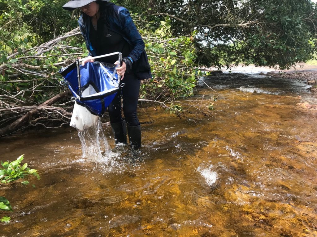 Biólogos de la Universidad del Bosque avanzan en estudios de capacidad de carga en sitios turísticos