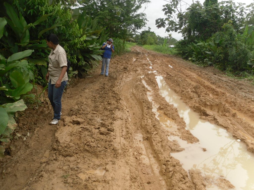 Habitantes de Puerto Tolima anuncian protesta pacífica por mal estado de la vía