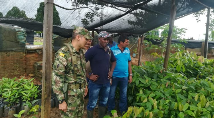 Campesinos del Guaviare reciben 1.800 plantas de cacao