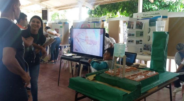 Proyectos ambientales presentados en Feria de la Ciencia e Innovación