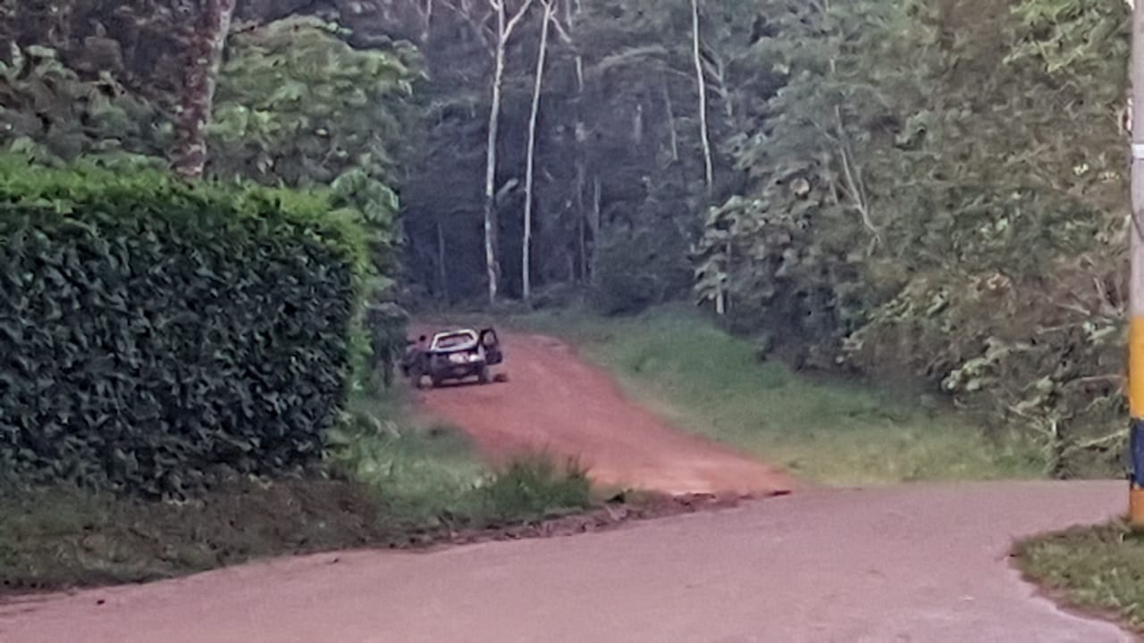 Autoridades incautaron cuatro pistolas 9 mm y dinero en efectivo - Foto/ Foto/ Prensa Vigésima Segunda Brigada de Selva