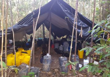 Fuerza Pública golpea las finanzas de las disidencias Farc en Guaviare y Meta
