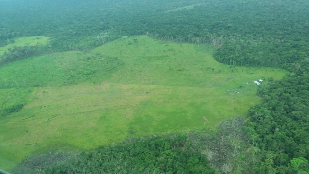Focos de la deforestación en la Amazonia