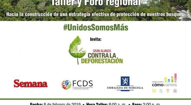 Guaviare: Alianza contra la Deforestación realizará foro para protección de bosques