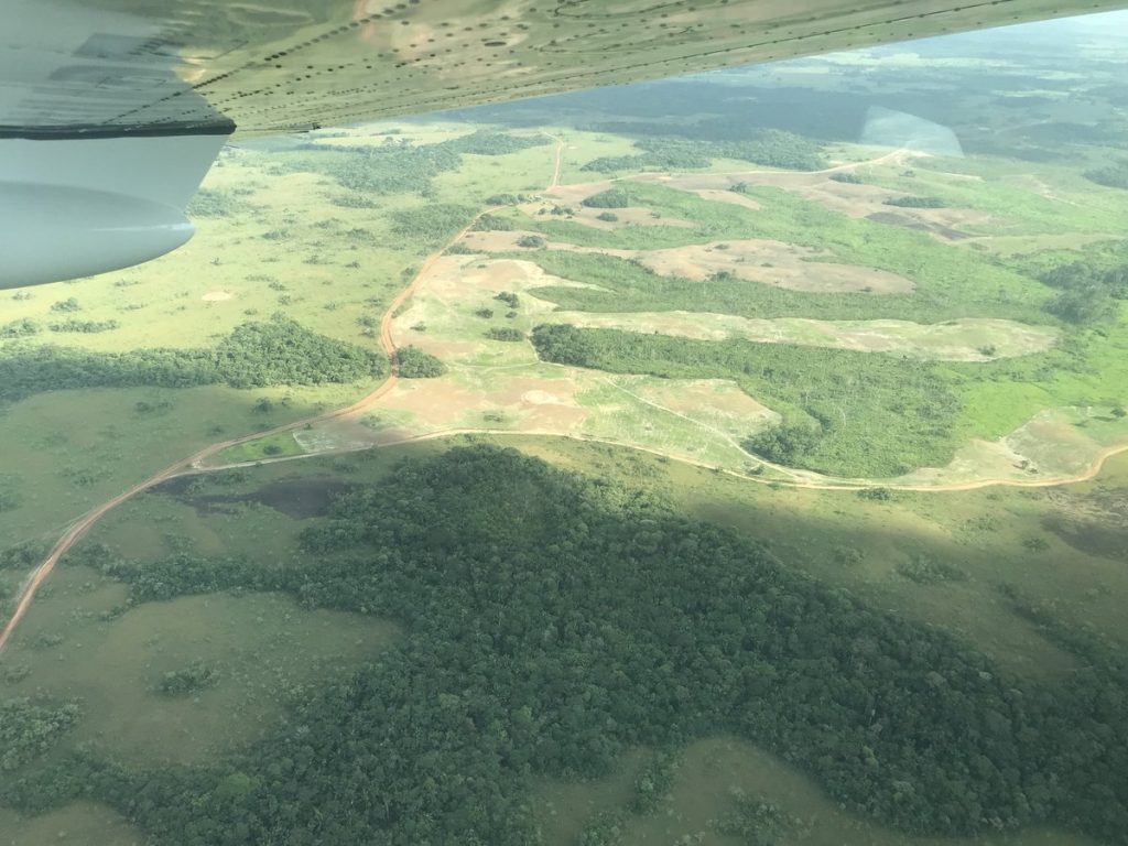 No son claras las propuestas de candidatos presidenciales ante deforestación en la Amazonía