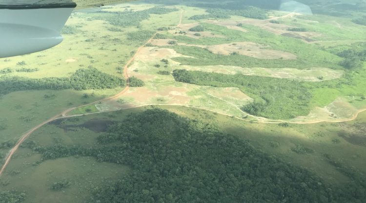 No son claras las propuestas de candidatos presidenciales ante deforestación en la Amazonía