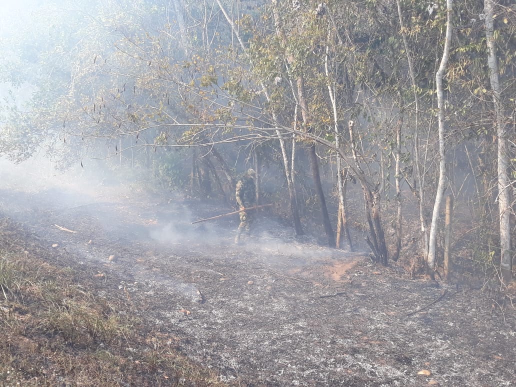 Incendio forestal en zona rural de el Pororio, municipio de Puerto Concordia, Meta.