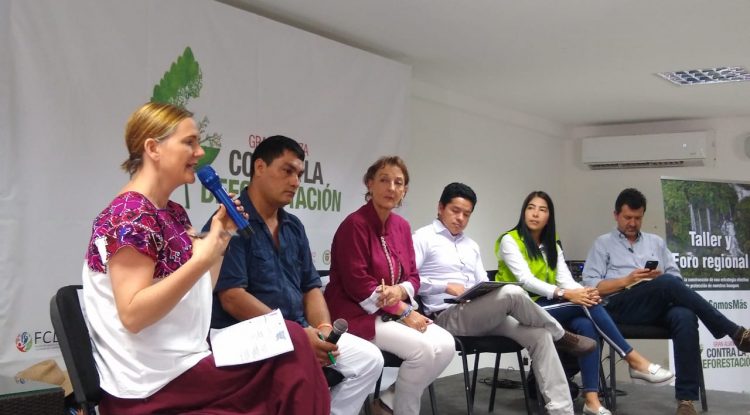 En San José del Guaviare se realizó taller y foro contra la deforestación