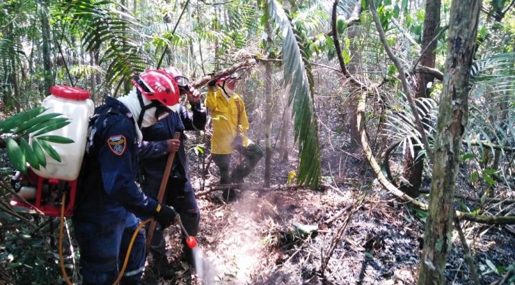 Decretan calamidad pública en San José del Guaviare por incendios forestales