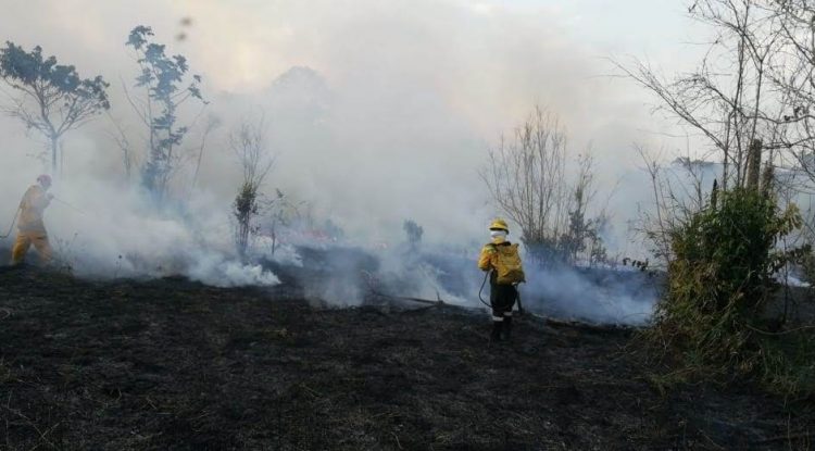 En un 30% controlado incendio forestal en serranía de la Lindosa