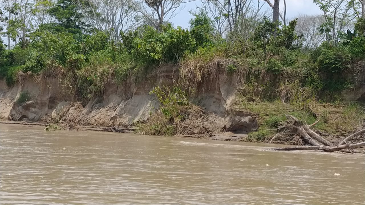 Erosión en la margen izquierda del río Guaviare