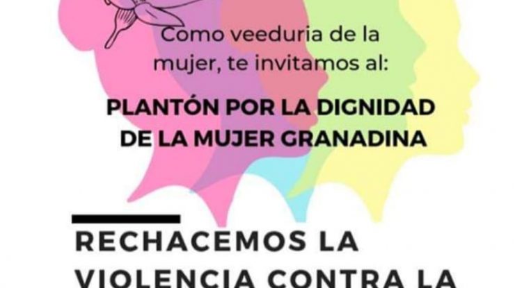 Plantón para la rechazar la violencia contra la mujer en Granada, Meta