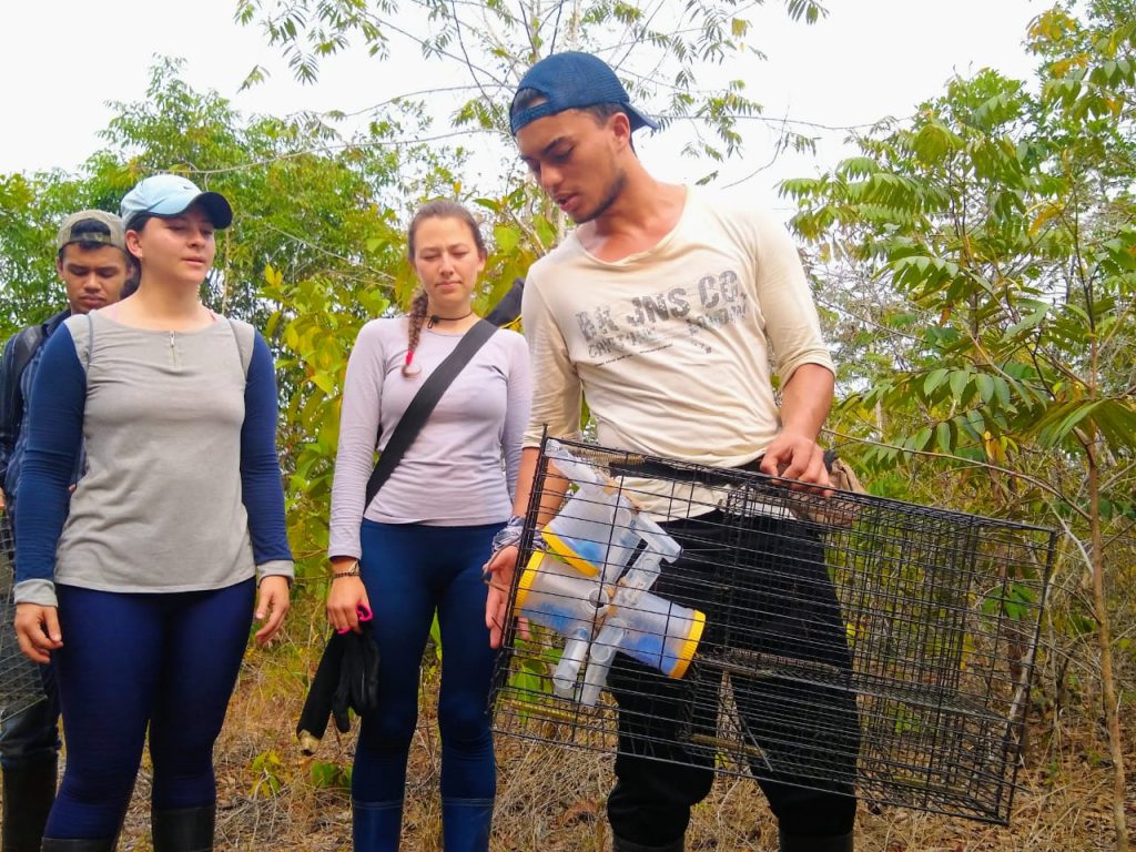 Investigaciones para fortalecer inventario de especies realiza Universidad el Bosque en Guaviare