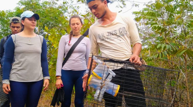 Investigaciones para fortalecer inventario de especies realiza Universidad el Bosque en Guaviare