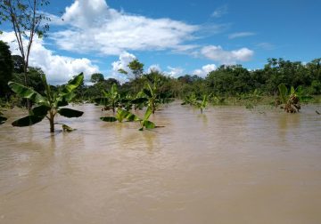 Creciente del río Guayabero y Guaviare afectan primeros centros poblados