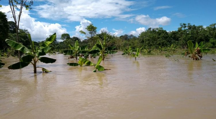 Creciente del río Guayabero y Guaviare afectan primeros centros poblados