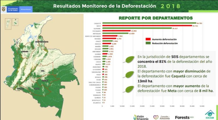 Guaviare redujo la tasa de deforestación en 5 mil hectáreas