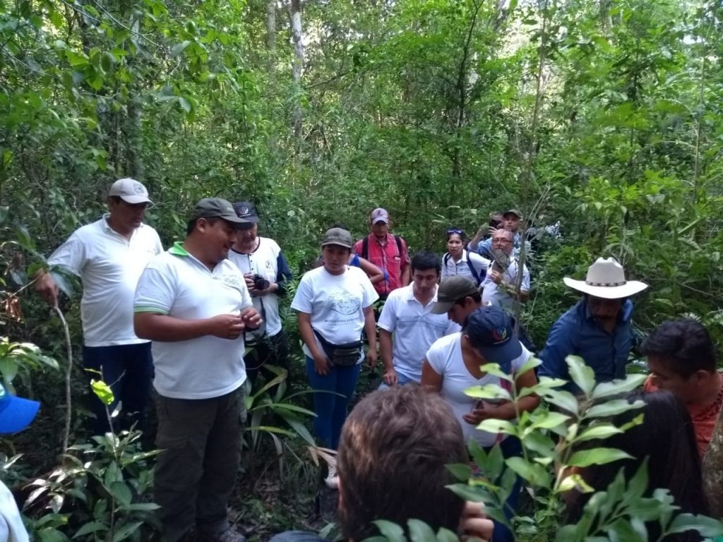 Productores del Guaviare participaron en intercambio forestal en Guatemala