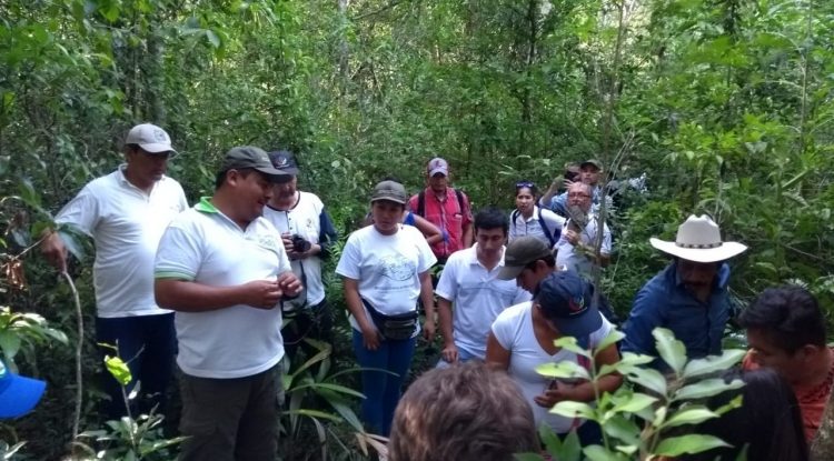 Productores del Guaviare participaron en intercambio forestal en Guatemala