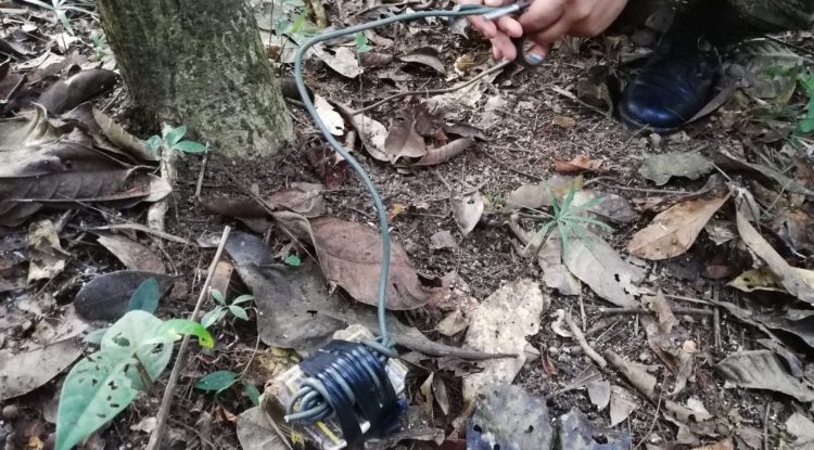En el Guaviare, 267 personas han sido víctimas de minas antipersonal
