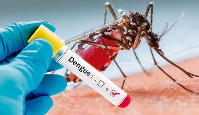 Hospital San José confirma 212 casos de dengue en el año 2019