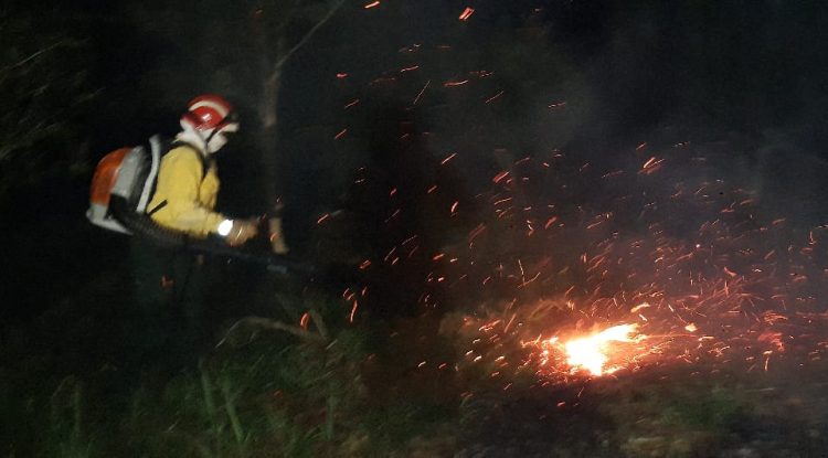 Seis incendios forestales han atendido Bomberos San José del Guaviare