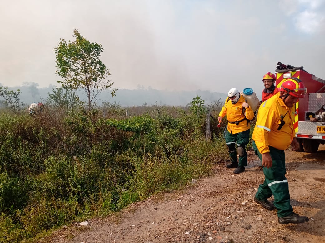 Incendio forestal en el sector de La María