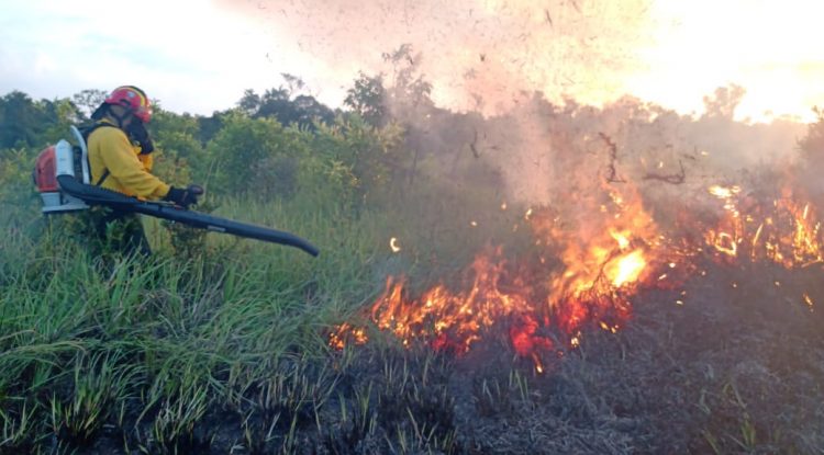 Bomberos San José del Guaviare han atendido tres incendios forestales