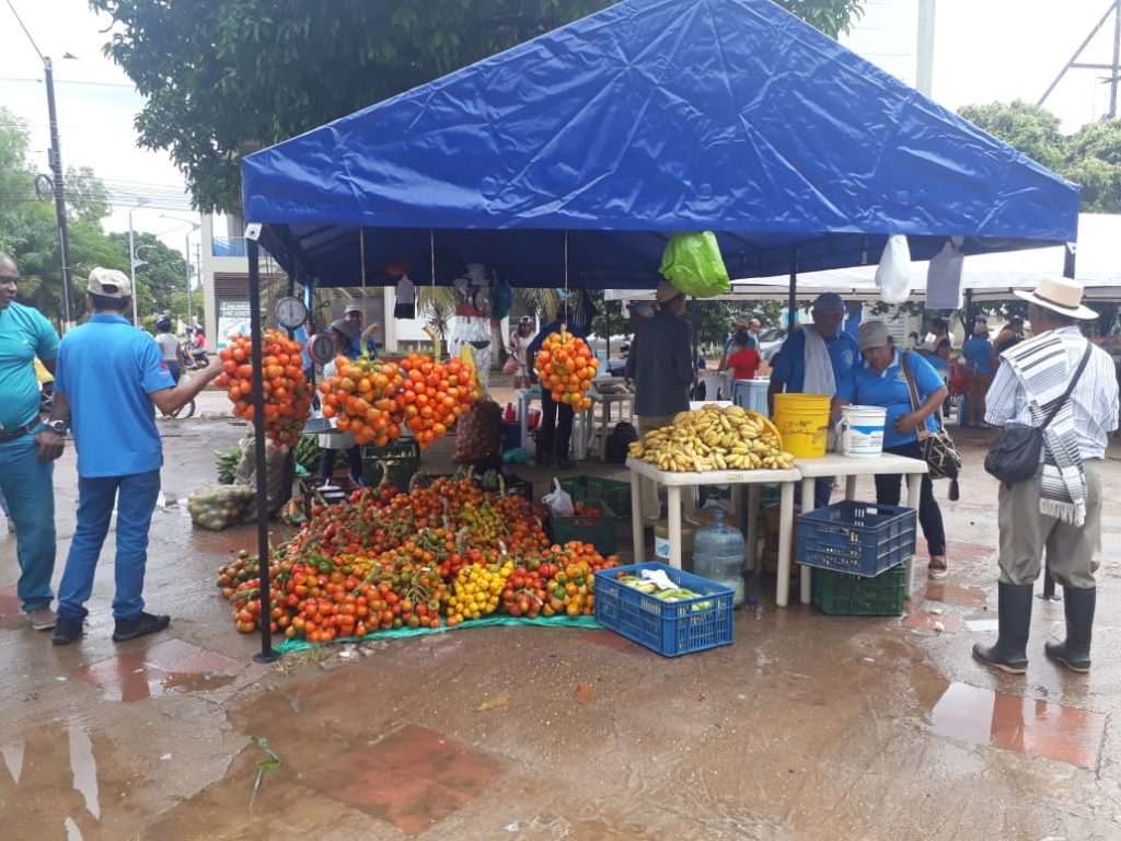 Mercados campesinos: En Guaviare, familias le apuestan a la economía lícita