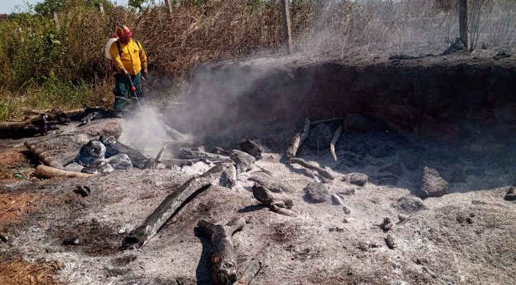 Quema residuos sólidos, posibles causas de incendio forestal en Altos de San Jorge