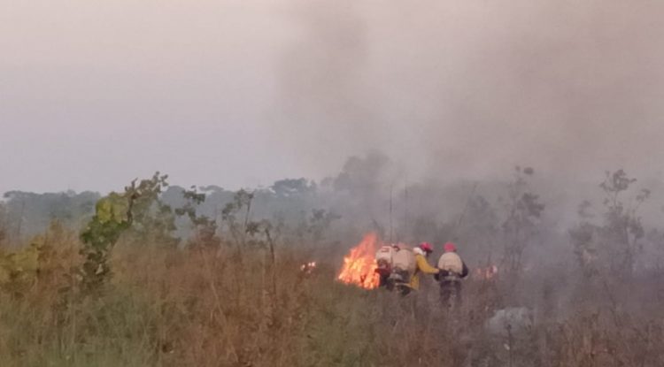 Incendio consumió 30 hectáreas de vegetación en la vereda Barrancón