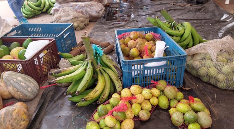 Todo listo para el Primer Mercado Campesino Virtual en San José del Guaviare