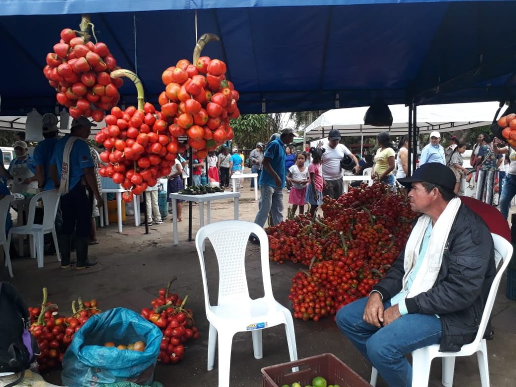 Mercados campesinos en Guaviare: Una razón para apoyar el campo