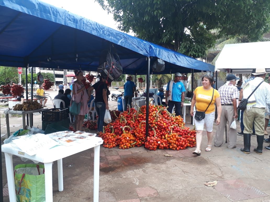 Los mercados campesinos se realizan en primer domingo de cada mes en el parque principal de San José del Guaviare. Foto/ Ingrid Pinilla.