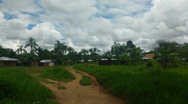 Jóvenes Nukak que terminaron rehabilitación regresan hoy a San José del Guaviare