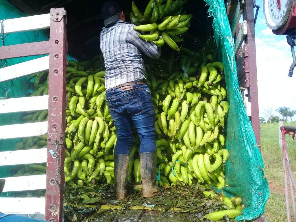 No habrá desabastecimiento de alimentos durante la cuarentena en Guaviare