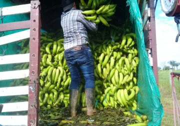 No habrá desabastecimiento de alimentos durante la cuarentena en Guaviare