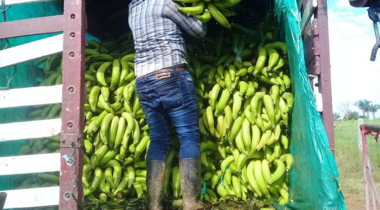 No habrá desabastecimiento de alimentos durante la cuarentena en Guaviare