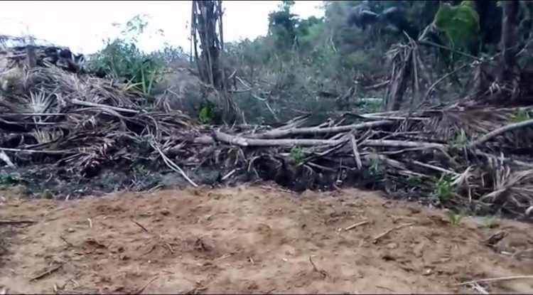 Ciudadanos preocupados por daño ambiental en humedal de San José del Guaviare