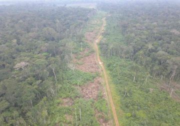Juez levantó medida de restricción vehicular Calamar - Miraflores