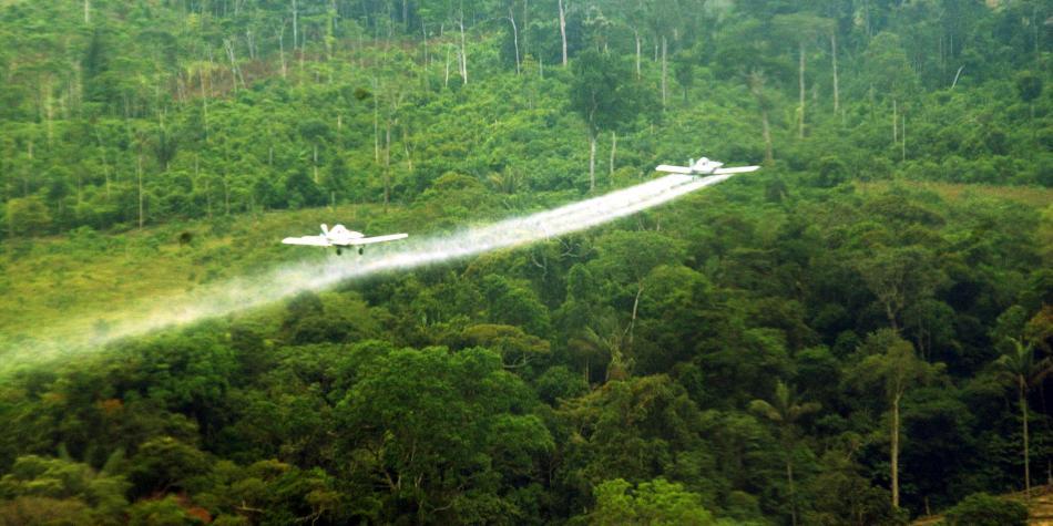 Tutela suspende audiencia virtual sobre fumigación aérea con glifosato