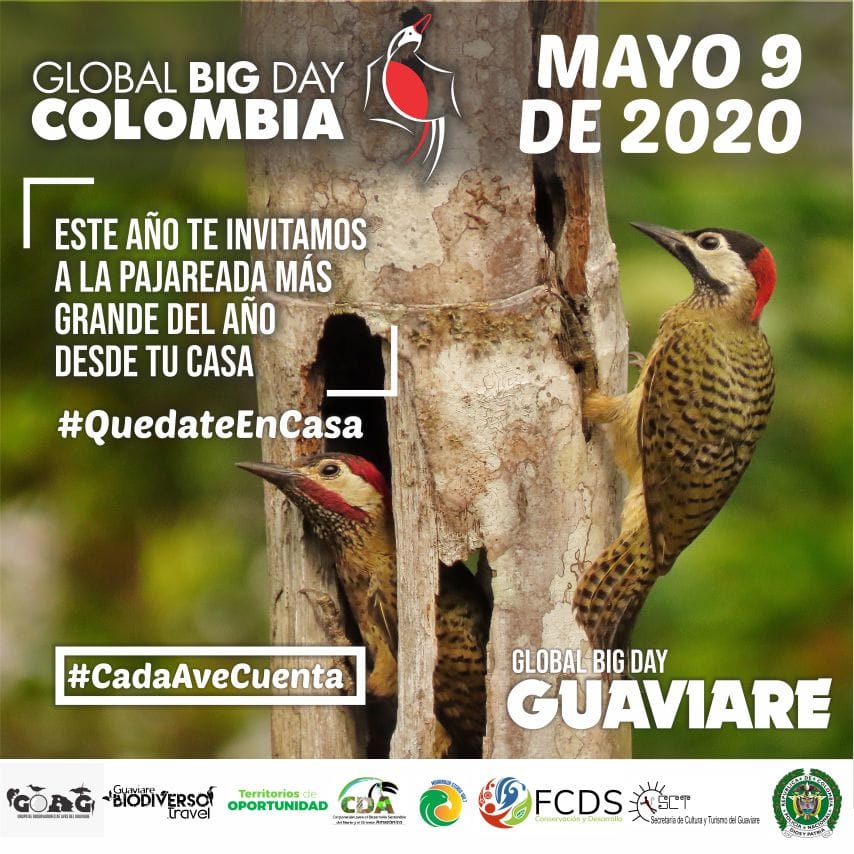 Lanzamiento Guía de Aves de San José del Guaviare