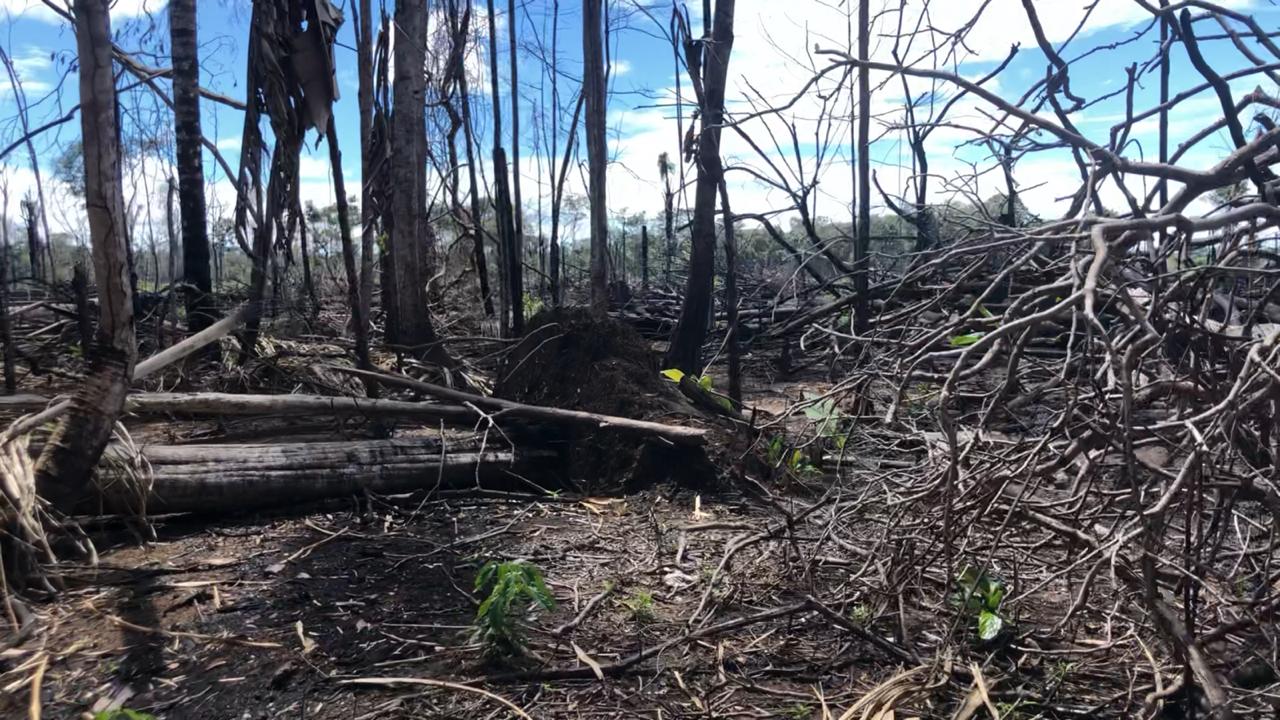 Ejército denuncia ecocidio en los departamentos del Meta y Guaviare