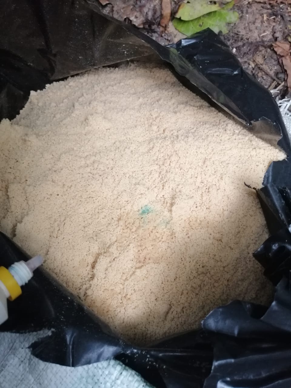 Hallan 440 kilos de pasta base de coca en El Capricho, Guaviare. Foto/ Fuerza de Tarea Conjunta Omega.