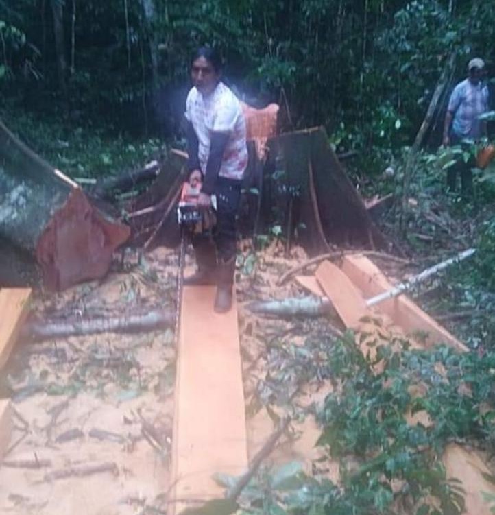 Ecuatoriano estaría talando y comercializando madera en Calamar, Guaviare