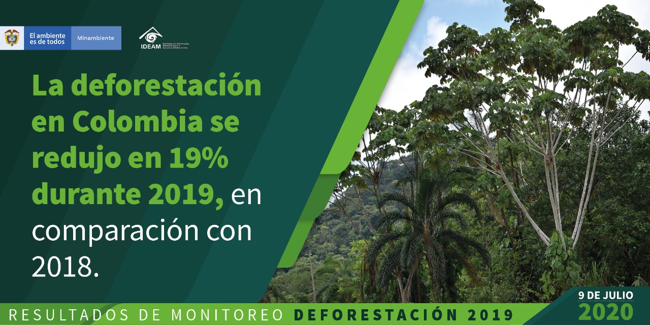 La reducción de la deforestación en el 2019 se ubicó en 19%, pasando de 197.158 ha. deforestadas en 2018 a 158.894 ha. en 2019, con lo cual conservamos 38.264 ha. más de bosques