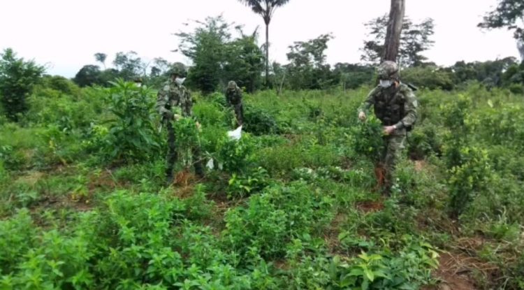 Ejército en el Guaviare fortalece labores para la protección del medio ambiente y economía de la región