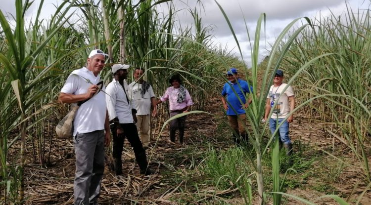 Campesinos de Barranquillita (Guaviare) tendrán asistencia técnica permanente